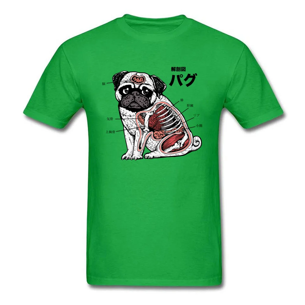 Funny Pug Anatomy Veterinarian_green
