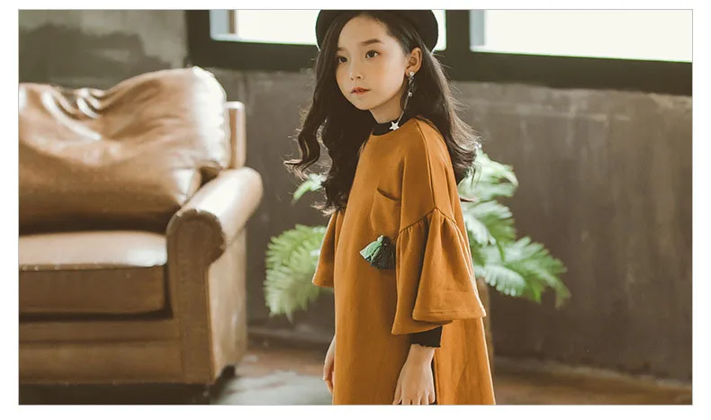 teenage girls long sleeve dresses with pockets autumn spring 2018 brown green long sweatshirts hoodies dress baby girl clothes (11)