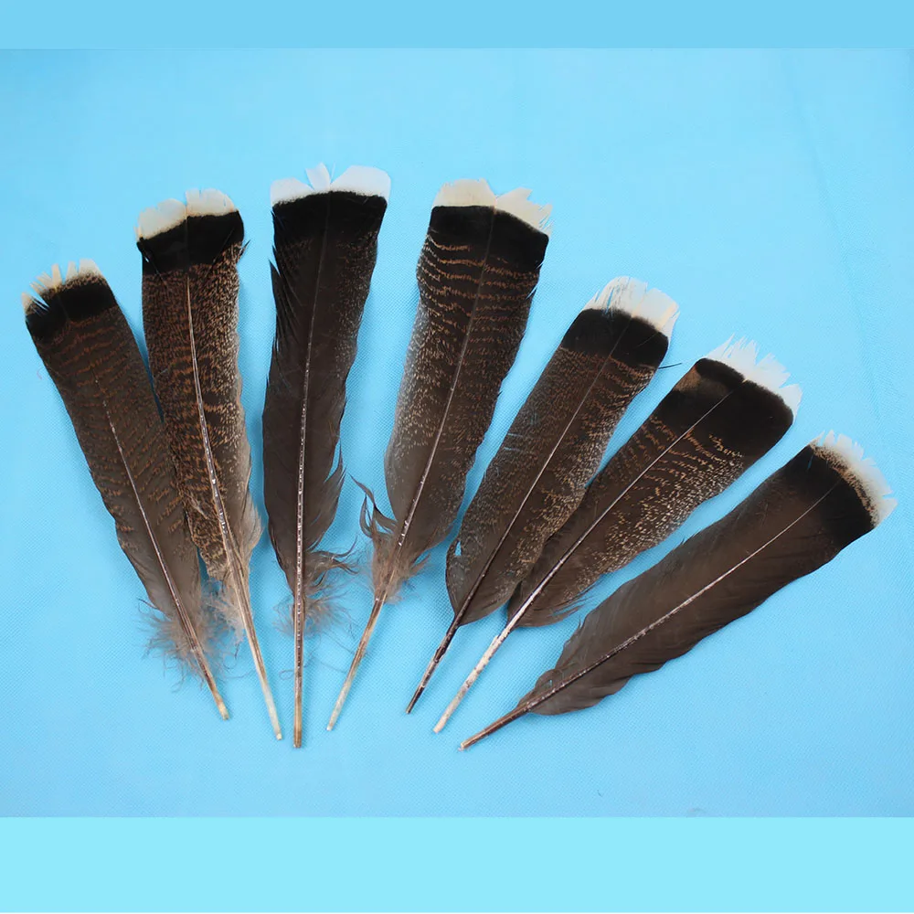 Wholesale perfect 10 PCS high quality natural eagle feathers 25 to 30
