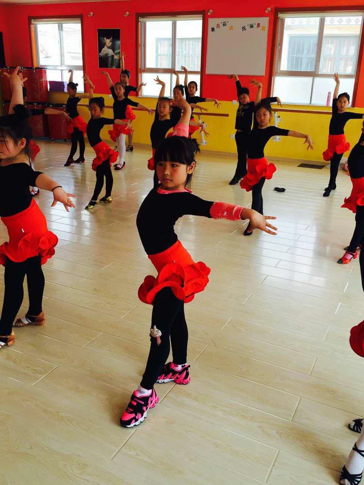 Юбка для латинских танцев для девочек детская красная стандартная бальная/Танго/Румба/Самба/Сальса латинская юбка с оборками