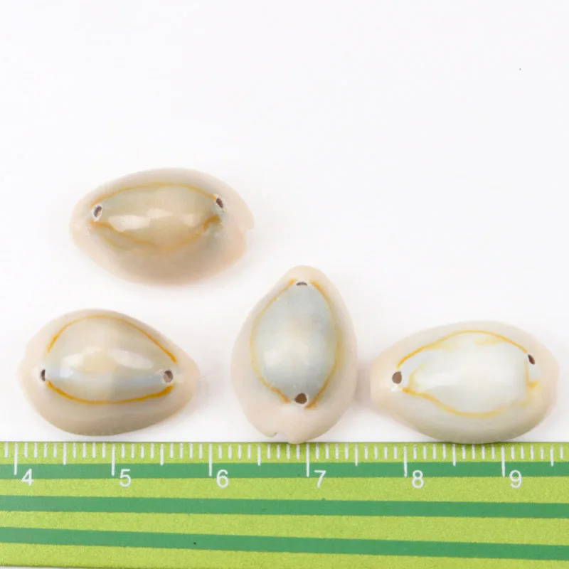 Spiral Shell SeaShells Conch for DIY handmade Home decoration jewelry making 10-25mm 20pcs
