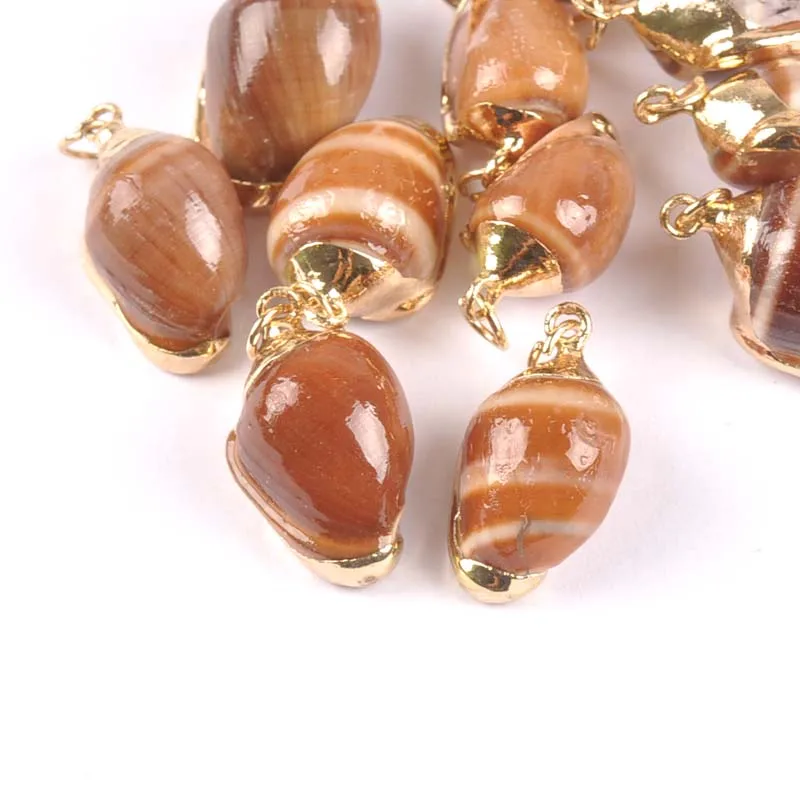 15-20mm-Natural-Brown-Shell-Gold-Plated-for-DIY-handmade-charms-pendant-SeaShells-Home-decoration-5pcs