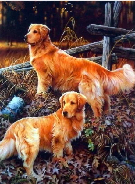 HTB1UXTOkYGYBuNjy0Foq6AiBFXao