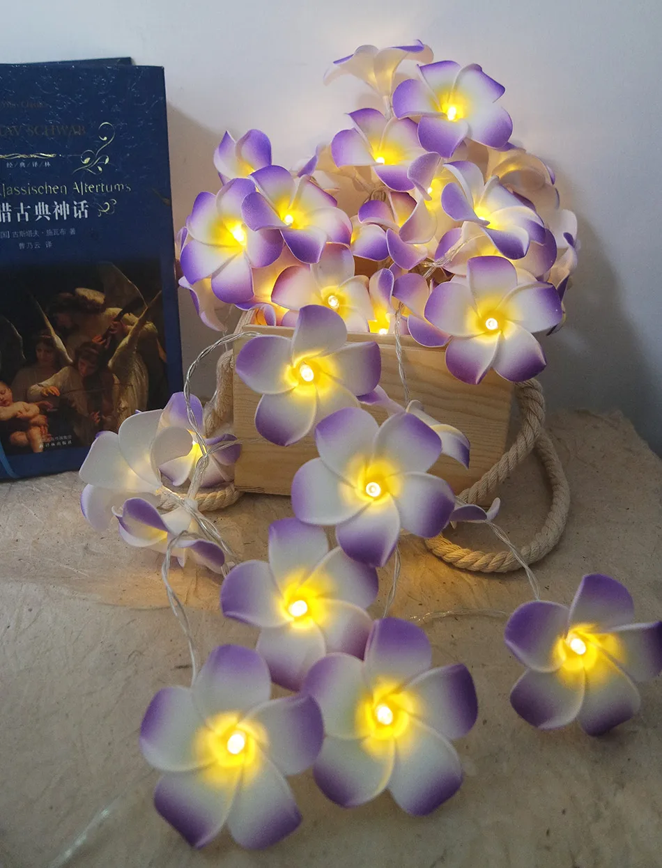 SAM_0922