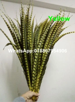 

Free shipping 50pcs Yellow 30-35inch(80-90cm) Lady Amherst Pheasant side Tail Feathers for costumes