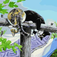 Кошки DIY Цифровая живопись маслом по номерам Европа абстрактная хлопковая живопись для гостиной стены картина без рамки 40x50