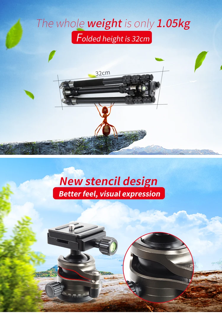 MEA_02
