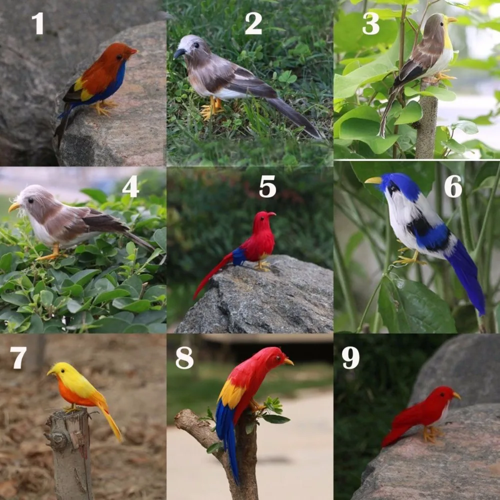 online buy wholesale taxidermy birds from china taxidermy online buy wholesale taxidermy birds from china taxidermy