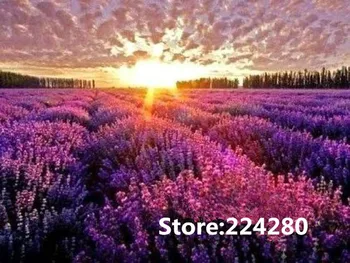 

Needlework.embroidery,DIY 14CT Unprinted Art Provence lavender purple scenery Cross stitch kits Cross-Stitching decor crafts