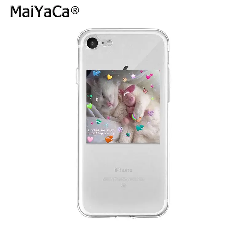 Animal Dog Cat Love You Friend Couple