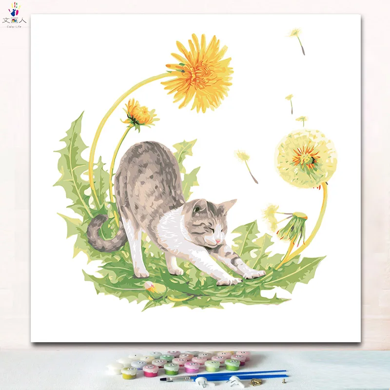 

The cut cat and dandelion picture painting by numbers with paint colors for drawing paintings by numbers on canvas for children