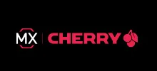 Cherry MX mechanical keys