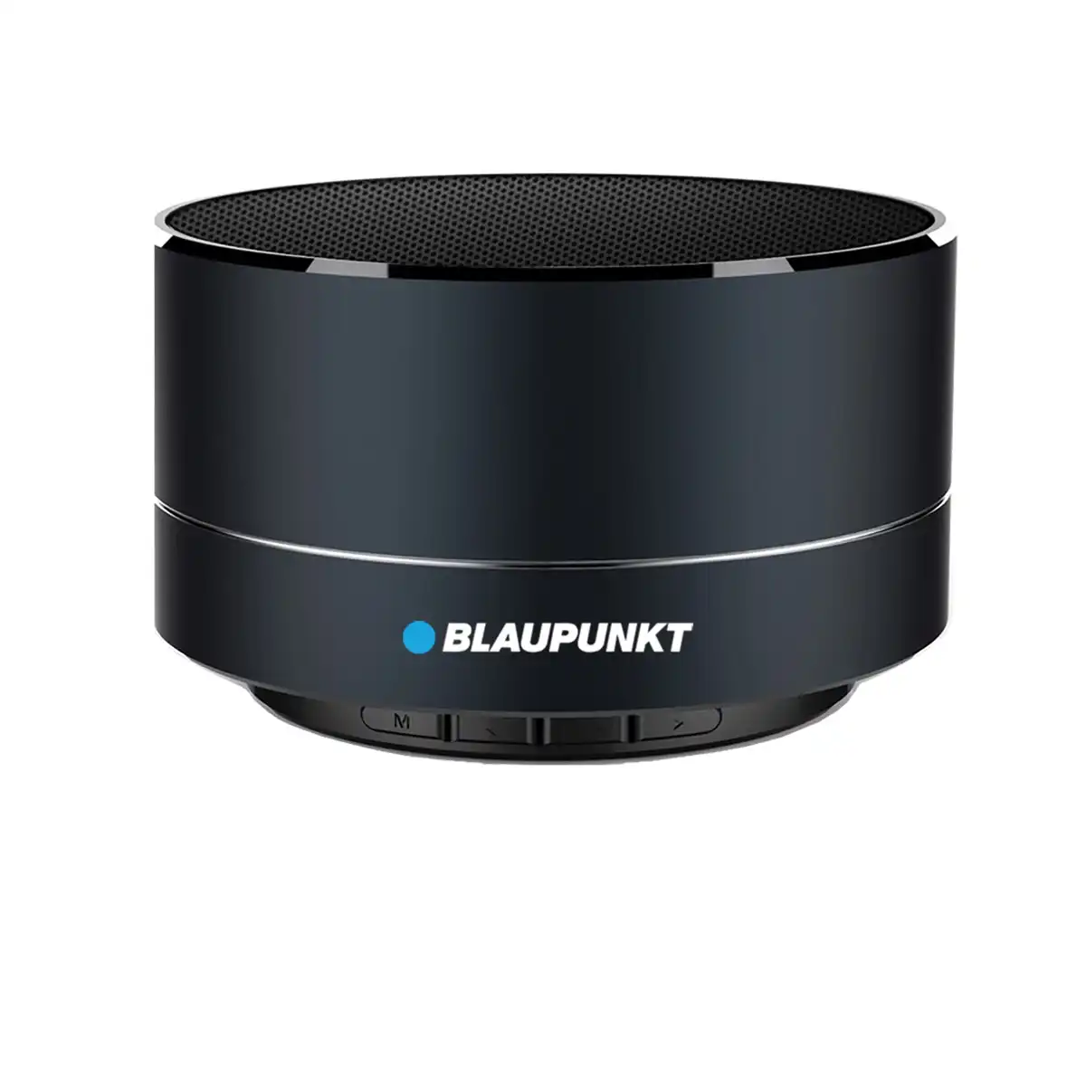blaupunkt outdoor speaker