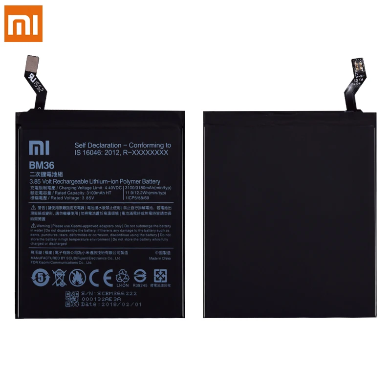 BM36 (4)