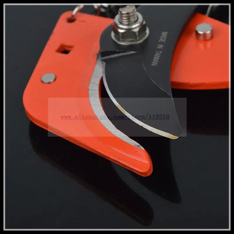 High-altitudecut-a0363