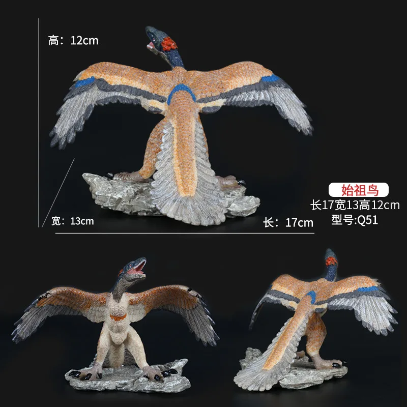 Одноцветное предка птица воруя Дракон 3 модели KB MSD 22|dragon dragon|dragon model |