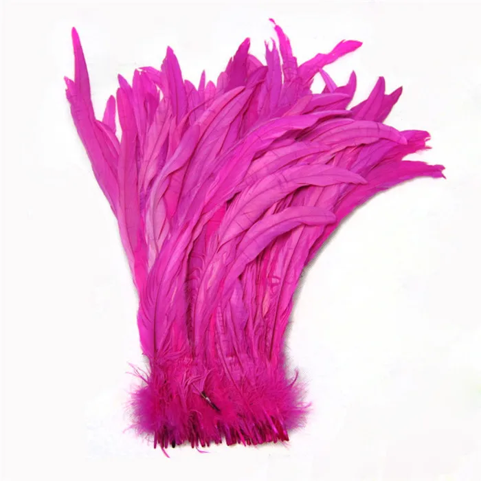 4 rose cock tail feather