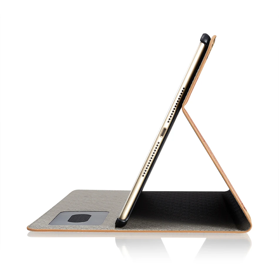 iPad 9.7 Case (15)