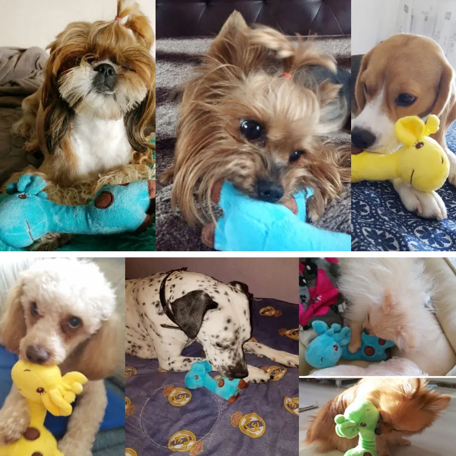 Cartoon Plush Giraffe 1 Cartoon Plush Giraffe 1