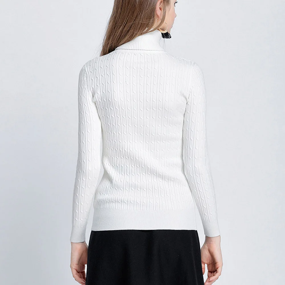 2018 Winter Warm Women Sweaters and Pullovers high Elastic Thick Turtleneck Sweater Autumn Knitted Twisted Sweater Women Jumper 2018 Winter Warm Women Sweaters and Pullovers high Elastic Thick Turtleneck Sweater Autumn Knitted Twisted Sweater Women Jumper
