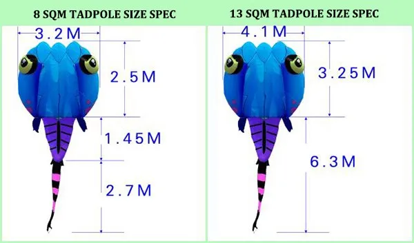 tadpole size