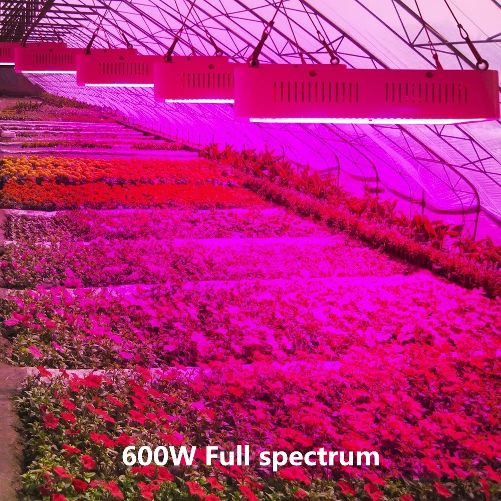600