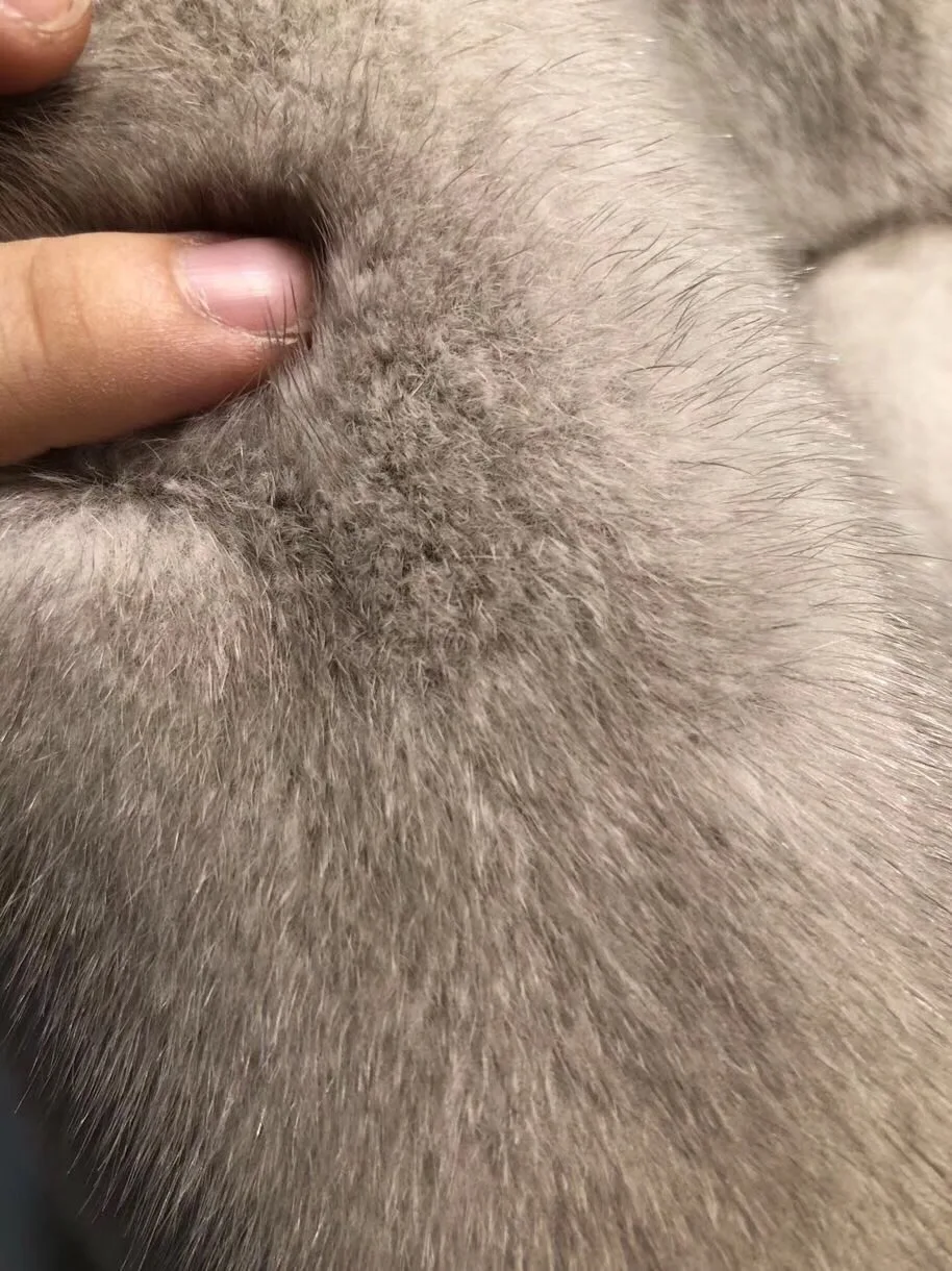 _20181204205713