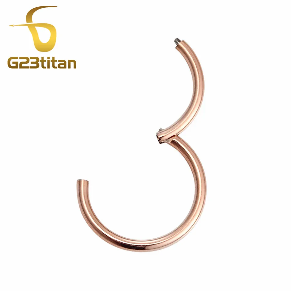 G23titan 18G Hinged Segment Seamless Ring for Nose Septum Ear Piercing Hoop Nose Studs Rings Generic Body Pircing Jewelry
