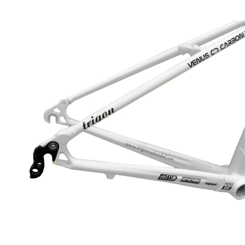 TRIGON RCC01 SWIFT углеродного волокна ультра легкий 2" 451 мини-велосипед рама карбоновый каркас