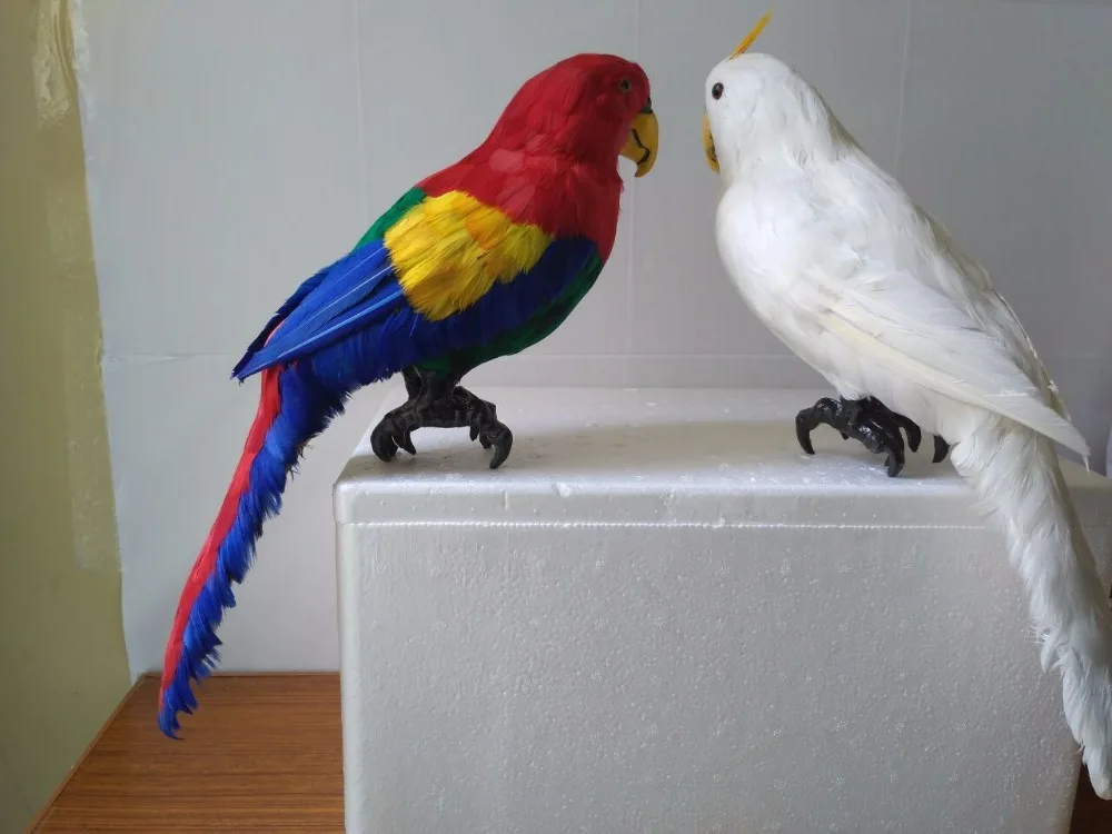 

large 45x20cm simulation parrot model plastic&furs parrot handicraft ,home garden decoration furnishings gift d1414