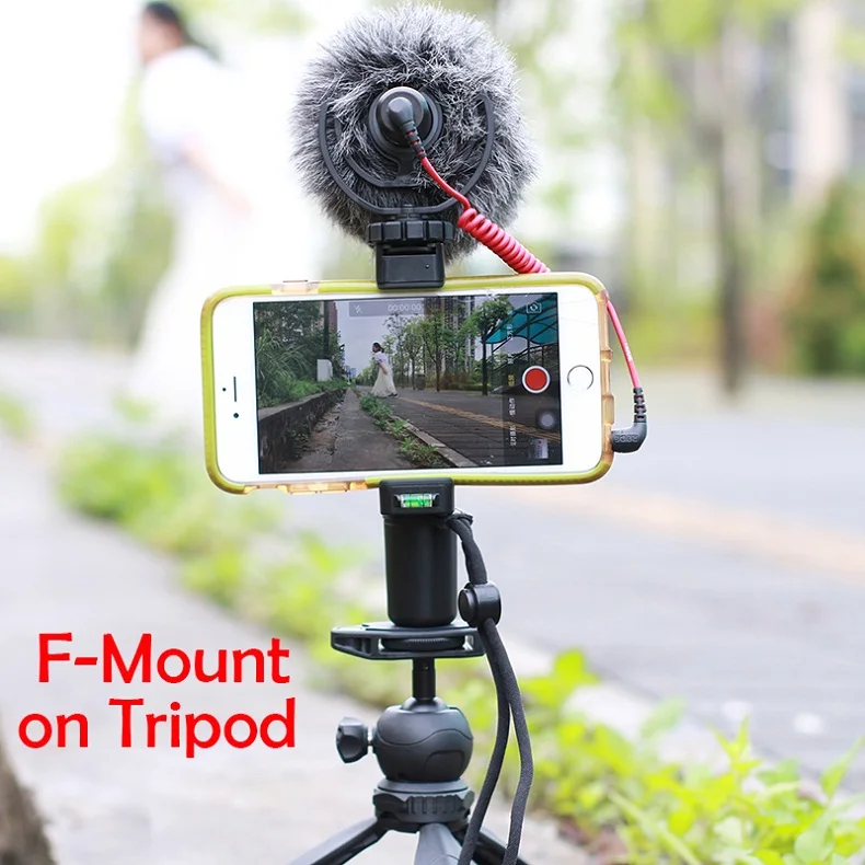 HTB1QRogRXXXXXa6aXXXq6xXFXXXv