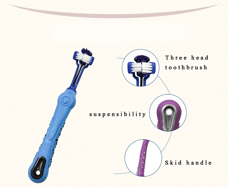 8612078841_889689952