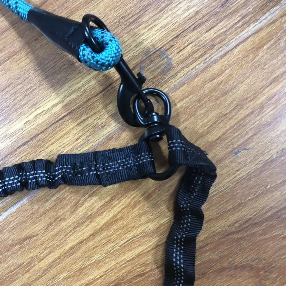 QQ图片20190701160755