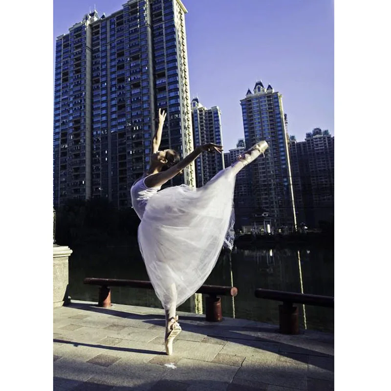 

Custom Made Professional Ballet-Tutu For Adult Kids, Women Swan Lake Ballet Costume Hb662