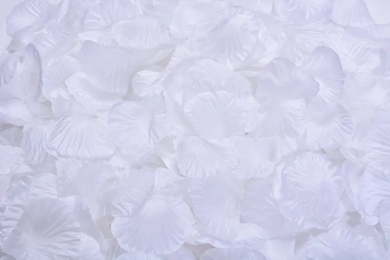 2382-08-10pcs-white-