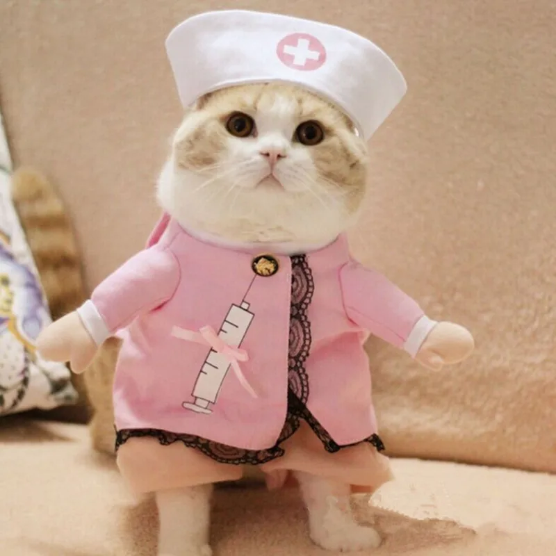 2016Cat-Costume-Cat-Clothes-Sexy-Nurse-Uniform-Free-Shipping-D83.jpg_640x640_