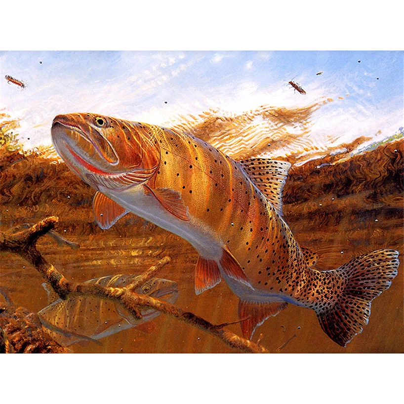 Радужная форель красная. Фрэнк форель. Фрэнк форель. Фрэнк форель. Фрэнк форель.