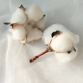 

1pc Natural Cotton Head Faucet Flower Bouquet Natural Dry Flower Bouquet Wedding Wreath