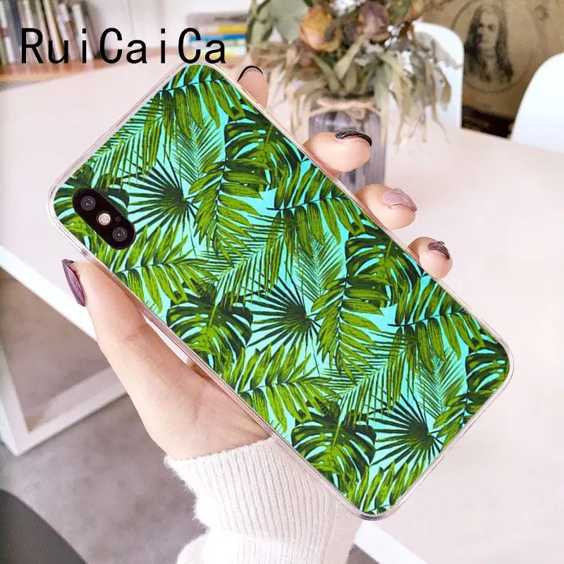 Palm tree Leaves Plant Flower
