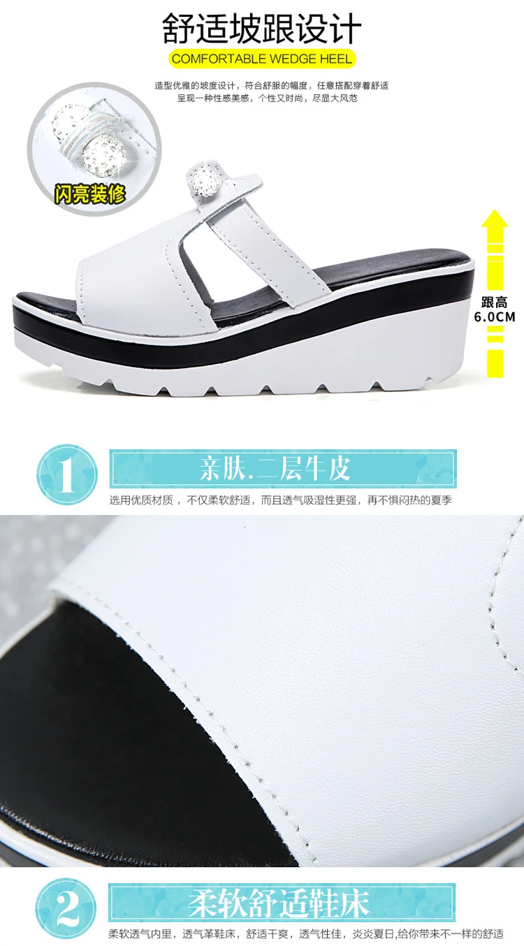 desc-0019