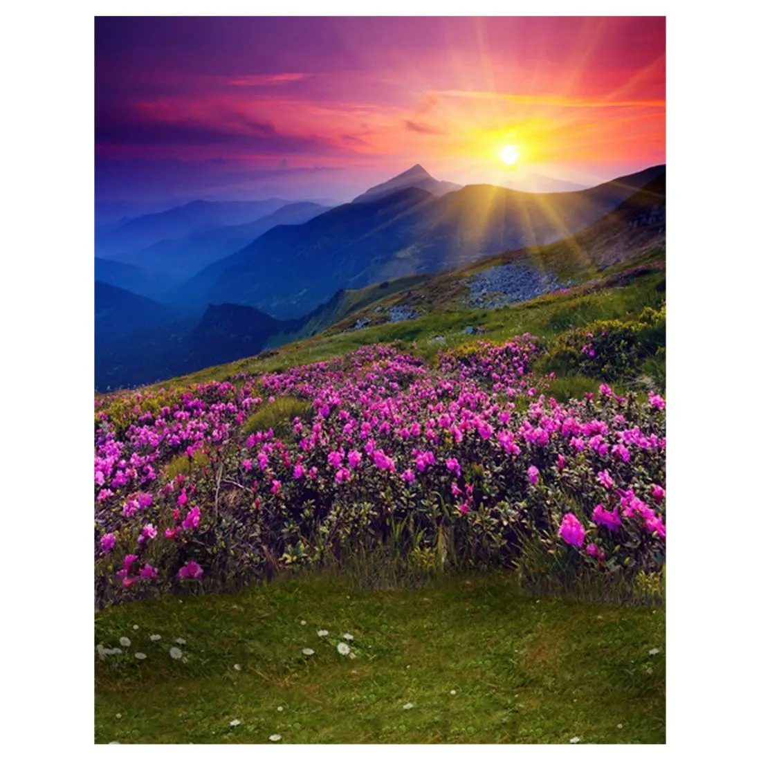 

3x5ft Green Trees Forest Field Garden Nature Scenery Graphic Printed Wall Mural Vinyl Cloth Photography Backgrounds Picture 38