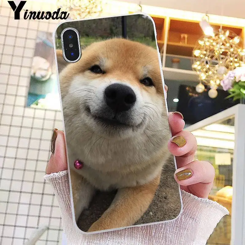 Animal Shiba Inu DIY Painted Beautiful