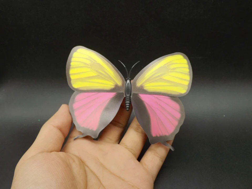 I236-Butterfly (1)