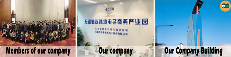 UT81DdMXBpaXXagOFbXn