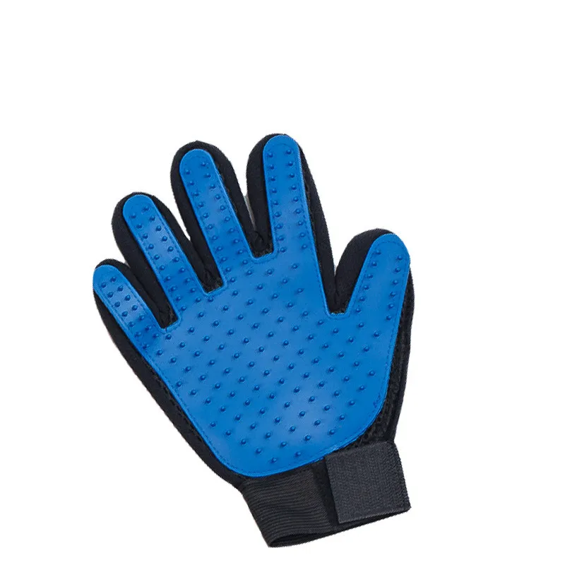 9557680892_1793169312_