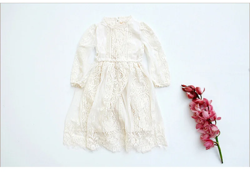 32791456362_14