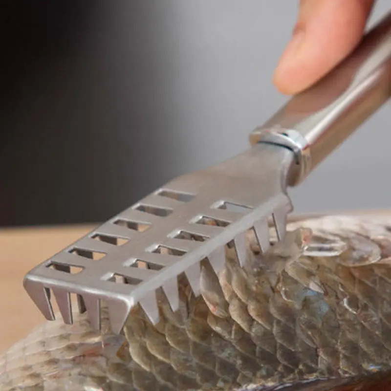 Cleaning fish skin steel fish scales brush shaver Remover