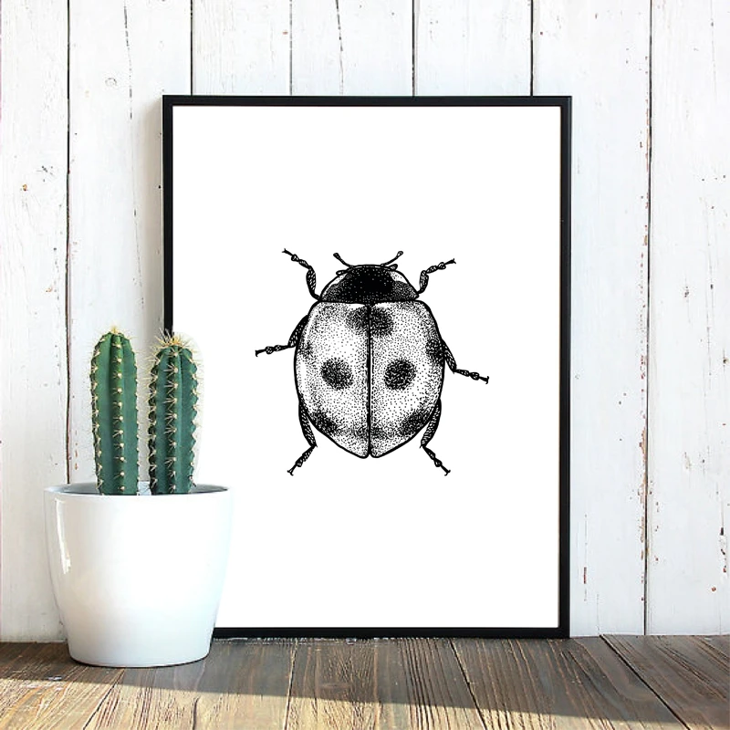 Ladybug illustration canvas print