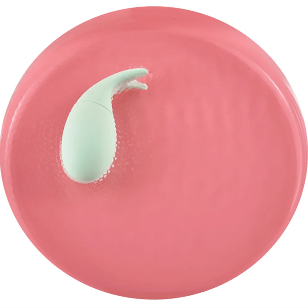 Mini Fish Vibrating Egg 10 Speed Wireless Egg Vibrator Famale Vagina Clitoris Stimulator Massager USB Adult Sex Toys for Women (7)