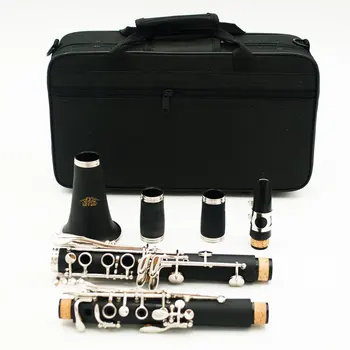 

Clarinet ABS 17 Key bB Falling Tune B Flat Soprano Binocular Clarinet with Case Woodwind Instrument